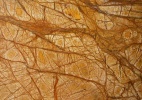 Rainforest Golden marble